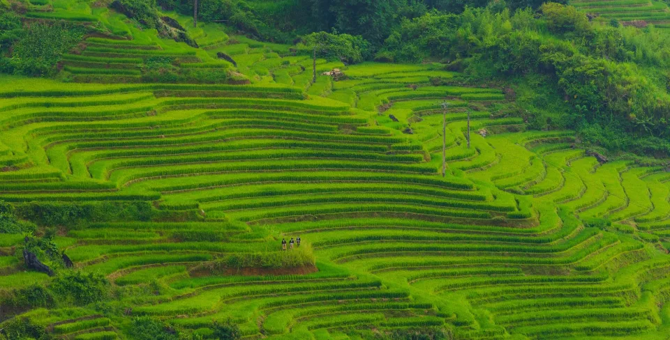 Máy xay xát