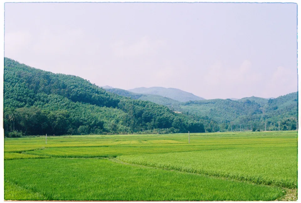 Kho gạo của Trần Thị Giang